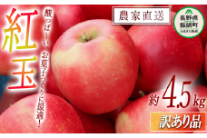 りんご 紅玉 訳あり 4.5kg 中村ファーム 沖縄県への配送不可 2025年9月中旬頃から2025年11月上旬頃まで順次発送予定 令和7年度収穫分 長野県 飯綱町 [1242]