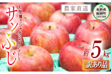 りんご サンふじ 訳あり 5kg 永野農園 沖縄県への配送不可 2025年12月上旬頃から2026年2月上旬頃まで順次発送予定 令和7年度収穫分 信州 果物 フルーツ リンゴ 林檎 長野 予約 農家直送 長野県 飯綱町 [1250]