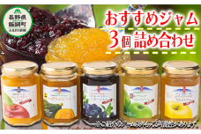 ジャム りんご おすすめのジャム3本セット バタージャム 沖縄県への配送不可 信州飯綱園芸 信州 長野 リンゴ サンふじ ブルーベリー バター セット 詰め合わせ 果実 フルーツ 11000円 長野県 飯綱町 [1260]