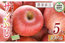 りんご サンふじ 訳あり 5kg 沖縄県への配送不可 2025年12月上旬頃から2026年2月上旬頃まで順次発送予定 町田さんちのりんご 長野県 飯綱町 [1270]