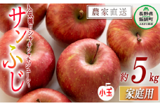 りんご サンふじ ( 小玉 ) 家庭用 5kg 沖縄県への配送不可 2025年12月中旬頃から2025年12月下旬まで順次発送予定 令和7度収穫分 静谷りんご園 信州の環境にやさしい農産物認証 減農薬栽培 長野県 飯綱町 [1289]