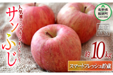 りんご サンふじ ( スマートフレッシュ 加工 ) 家庭用 10kg 永正の地蔵尊神谷農園 2026年1月下旬頃から2026年5月上旬頃まで順次発送予定 令和7年度収穫分 信州 果物 フルーツ リンゴ 林檎 長野 24000円 予約 農家直送 長野県 飯綱町 [1297]