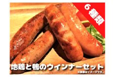 地鶏 鴨 信濃地鶏＆いいづな鴨 ウインナーセット【6種】 合計25本 ※沖縄および離島への配送不可 長野県飯綱町 [1301]