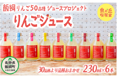 【飯綱りんご50品種ジュースプロジェクト】 信州産 りんごジュース 品種おまかせ 230ml × 6本  泉が丘喫茶室 飲料 果汁飲料 りんご リンゴ 林檎 ジュース ストレート 100% 長野 信州 13500円 長野県 飯綱町 [1305]