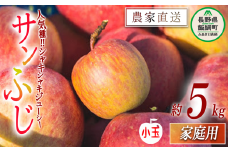 りんご サンふじ 家庭用 ( 小玉 ) 5kg 関農園 沖縄県への配送不可 2025年12月上旬頃から2025年12月下旬頃まで順次発送予定 エコファーマー認定 令和7年度収穫分 信州 果物 フルーツ リンゴ 林檎 長野 11000円 予約 農家直送 長野県 飯綱町 [1328]