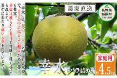 梨 幸水 家庭用 4.5kg ( バラ詰め ) 松澤農園 配送先は本州限定 2025年8月下旬頃から2025年9月上旬頃まで順次発送予定 令和7年度収穫分 長野県 飯綱町 [1329]