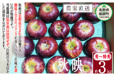 りんご 秋映 秀 ～ 特秀 3kg 松澤農園 沖縄県への配送不可 2025年10月上旬頃から2025年10月下旬頃まで順次発送予定 令和7年度収穫分 長野県 飯綱町 [1331]