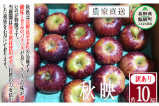 りんご 秋映 訳あり 10kg 松澤農園 沖縄県への配送不可 2025年10月上旬頃から2025年10月下旬頃まで順次発送予定 令和7年度収穫分 長野県 飯綱町 [1332]