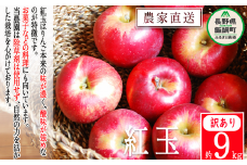 りんご 紅玉 訳あり 9kg 松澤農園 沖縄県への配送不可 2025年9月下旬頃から2025年10月上旬頃まで順次発送予定 令和7年度収穫分 長野県 飯綱町 [1330]