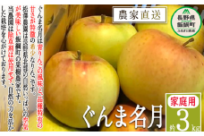 りんご ぐんま名月 家庭用 3kg 松澤農園 沖縄県への配送不可 2025年11月下旬頃から2026年1月上旬頃まで順次発送予定 令和7年度収穫分 長野県 飯綱町 [1066]