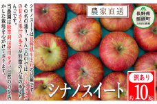 りんご シナノスイート 訳あり 10kg 松澤農園 沖縄県への配送不可 2025年10月下旬頃から2025年11月上旬頃まで順次発送予定 令和7年度収穫分 長野県 飯綱町 [1334]