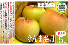 りんご ぐんま名月 訳あり 5kg 松澤農園 沖縄県への配送不可 2025年11月下旬頃から2026年1月上旬頃まで順次発送予定 令和7年度収穫分 長野県 飯綱町 [1335]
