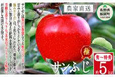 りんご 極み サンふじ 5kg こだわりの土作り 松澤農園 2025年11月下旬頃から2026年1月下旬頃まで順次発送予定 令和7年度収穫分 長野県 飯綱町 [1338]