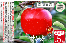 りんご 極み サンふじ 家庭用 5kg こだわりの土作り 松澤農園 沖縄県への配送不可 2025年11月下旬頃から2026年1月下旬頃まで順次発送予定 令和7年度収穫分 長野県 飯綱町 [1339]