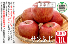 りんご サンふじ 贅沢な 家庭用 10kg 松澤農園  2025年11月下旬頃から2026年2月下旬頃まで順次発送予定 令和7年度収穫分 長野県 飯綱町 [1337]