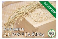 [1345]【令和6年度収穫分】コシヒカリ（玄米）5kg×6回【6カ月定期便】 ※沖縄および離島への配送不可　※2024年10月上旬頃から順次発送予定　町田さんちの玄米　長野県飯綱町