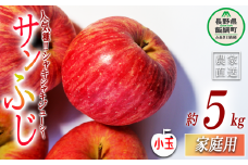 りんご サンふじ 家庭用 ( 小玉 ) 5kg 丸山りんご園 沖縄県への配送不可 2025年12月上旬頃から2025年12月下旬 頃まで順次発送予定 令和7年度収穫分 信州 果物 フルーツ リンゴ 林檎 長野 11000円 予約 農家直送 長野県 飯綱町 [1004]