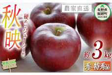 りんご 秋映 秀 ～ 特秀 3kg 沖縄県への配送不可 2025年9月下旬頃から2025年10月中旬頃まで順次発送予定 町田さんちのりんご 長野県 飯綱町 [1347]
