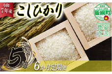 米 こしひかり 5kg × 6回 【 6か月 定期便 】( 令和7年産 ) 沖縄県への配送不可 2025年10月上旬頃から順次発送予定 米澤商店 コシヒカリ 白米 精米 長野県 飯綱町 [1350]