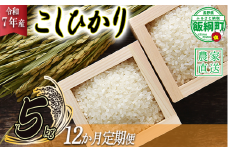 米 こしひかり 5kg × 12回 【 12か月 定期便 】( 令和7年産 ) 沖縄県への配送不可 2025年10月上旬頃から順次発送予定 米澤商店 コシヒカリ 白米 精米 長野県 飯綱町 [1351]