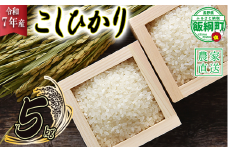 米 こしひかり 5kg ( 令和7年産 ) 沖縄県への配送不可 2025年10月上旬頃から順次発送予定 米澤商店 コシヒカリ 白米 精米 長野県 飯綱町 [1348]
