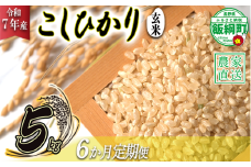 米 こしひかり ( 玄米 ) 5kg × 6回 【 6か月 定期便 】( 令和7年産 ) 沖縄県への配送不可 2025年10月上旬頃から順次発送予定 米澤商店 コシヒカリ 玄米 長野県 飯綱町 [1354]