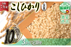 米 こしひかり ( 玄米 ) 10kg × 3回 【 3か月 定期便 】( 令和7年産 ) 2025年10月上旬頃から順次発送予定 米澤商店 コシヒカリ 玄米 長野県 飯綱町 [1357]