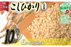 米 こしひかり ( 玄米 ) 10kg × 6回 【 6か月 定期便 】( 令和7年産 ) 2025年10月上旬頃から順次発送予定 米澤商店 コシヒカリ 玄米 長野県 飯綱町 [1358]