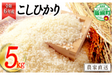 [1361]【令和6年度収穫分】信州飯綱町産　こしひかり 5kg　※沖縄および離島への配送不可　※2024年10月上旬頃から順次発送予定　米澤商店