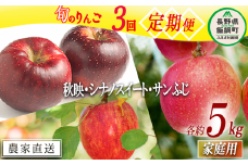旬のりんご 【 定期便 】 家庭用 5kg × 3回 渡辺農園 沖縄県への配送不可 2025年10月上旬頃から2025年12月中旬頃まで順次発送予定 令和7年度収穫分 エコファーマー認定 減農薬栽培 長野県 飯綱町 [1375]