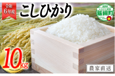 [1380]【令和6年度収穫分】信州産 こしひかり 10kg　※沖縄および離島への配送不可　※2024年11月上旬頃から順次発送予定　丸西農園　長野県飯綱町