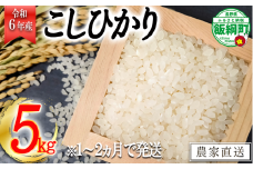 [1377]【令和6年度収穫分】信州産 こしひかり 5kg　※沖縄および離島への配送不可　※2024年11月上旬頃から順次発送予定　丸西農園　長野県飯綱町