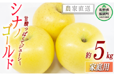 りんご シナノゴールド 家庭用 5kg 松橋りんご園 沖縄県への配送不可 2025年11月上旬頃から2025年12月中旬頃まで順次発送予定 令和7年度収穫分 フルーツ リンゴ 信州 長野県 飯綱町 [0828]