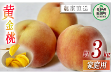 もも 黄金桃 ( 袋かけ無し ) 家庭用 3kg 松橋りんご園 配送先は本州限定 2025年8月下旬頃から2025年9月上旬頃まで順次発送予定 令和7年度収穫分 フルーツ 果物 モモ 桃 長野県 飯綱町 [1383]