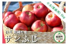りんご 小ささに訳あり サンふじ 家庭用 ( 小玉 ) 5kg 大友農場 エコファーマー認定 沖縄県への配送不可 2025年12月中旬頃から2026年1月上旬頃に順次発送予定 令和7年度収穫分 信州 果物 フルーツ リンゴ 林檎 長野 予約 農家直送 長野県 飯綱町 [1387]