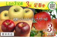 旬のりんご しなの3兄弟 【 定期便 】 家庭用 3kg × 3回 大友農場 エコファーマー認定 沖縄県への配送不可 2025年10月上旬頃から2026年1月中旬頃まで順次発送予定 令和7年度収穫分 信州 果物 フルーツ リンゴ 林檎 長野 予約 農家直送 長野県 飯綱町 [1389]