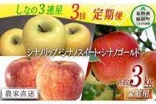 旬のりんご シナノ 三連星 【 定期便 】 家庭用 3kg × 3回 大友農場 エコファーマー認定 沖縄県への配送不可 2025年8月中旬頃から2026年1月中旬頃まで順次発送予定 令和7年度収穫分 信州 果物 フルーツ リンゴ 林檎 長野 予約 農家直送 長野県 飯綱町 [1388]