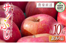 りんご サンふじ 訳あり 10kg マルカズりんご農園 沖縄県への配送不可 2025年11月下旬頃から2025年12月下旬頃まで順次発送予定 令和7年度収穫分 傷 不揃い リンゴ 林檎 果物 フルーツ 信州 長野 19000円 予約 農家直送 長野県 飯綱町 [1392]