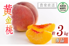 【 冷蔵便 】 もも 完熟 黄金桃 秀品 3kg サイズおまかせ 井澤農園 配送先は本州限定 2025年9月上旬頃から2025年9月下旬頃まで順次発送予定 令和7年度収穫分 エコファーマー認定 信州 果物 フルーツ 大玉 モモ 桃 長野 19500円 予約 農家直送 長野県 飯綱町 [1394]