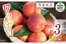 もも 完熟 ワッサー 秀品 3kg サイズおまかせ 井澤農園 配送先は本州限定 2025年8月上旬頃から2025年9月上旬頃まで順次発送予定 令和7年度収穫分 エコファーマー認定 信州 果物 フルーツ モモ 桃 長野 18000円 予約 農家直送 長野県 飯綱町 [1393]