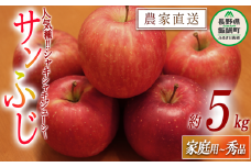 りんご サンふじ 家庭用 ～ 秀 5kg やまじゅうファーム 沖縄県への配送不可 2025年11月下旬頃から2025年12月中旬頃まで順次発送予定 令和7年度収穫分 信州の環境にやさしい農産物 減農薬栽培 長野県 飯綱町 [1396]