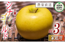 りんご シナノゴールド 家庭用 3kg 中村ファーム 沖縄県への配送不可 2025年11月上旬頃から2025年12月中旬頃まで順次発送予定 令和7年度収穫分 長野県 飯綱町 [1400]