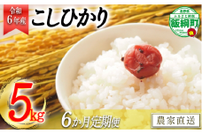 [1406]【令和6年度収穫分】信州産 コシヒカリ（白米） 5kg×6回 【6カ月定期便】 ※沖縄および離島への配送不可　※2024年11月上旬頃から順次発送予定　ヤマハチ農園　長野県飯綱町