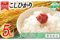 [1405]【令和6年度収穫分】信州産 コシヒカリ（白米） 5kg×3回 【3カ月定期便】 ※沖縄および離島への配送不可　※2024年11月上旬頃から順次発送予定　ヤマハチ農園　長野県飯綱町