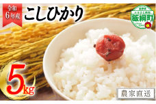 [1404]【令和6年度収穫分】信州産 コシヒカリ（白米） 5kg　※沖縄および離島への配送不可　※2024年11月上旬頃から順次発送予定　ヤマハチ農園　長野県飯綱町
