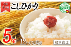 [1407]【令和6年度収穫分】信州産 コシヒカリ（白米） 5kg×12回 【12カ月定期便】 ※沖縄および離島への配送不可　※2024年11月上旬頃から順次発送予定　ヤマハチ農園　長野県飯綱町