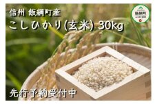 [1408]【令和6年度収穫分】信州産 コシヒカリ（玄米）30kg　※沖縄および離島への配送不可　※2024年11月上旬頃から順次発送予定　ヤマハチ農園　長野県飯綱町