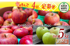 旬のりんご 【 定期便 】 訳あり 5kg × 4回 ヤマハチ農園 沖縄県への配送不可 2025年9月上旬頃から2025年12月下旬頃まで順次発送予定 令和7年度収穫分 BLOF理論栽培 傷 不揃い リンゴ 林檎 果物 フルーツ 信州 長野 50000円 予約 農家直送 長野県 飯綱町 [1410]