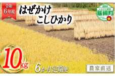 [1413]【令和6年度収穫分】こしひかり 10kg×6回【6カ月定期便】 ※沖縄および離島への配送不可　※2024年11月上旬頃から順次発送予定　黒柳さんのはぜかけ米　長野県飯綱町