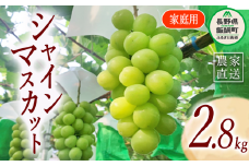 ぶどう シャインマスカット 家庭用 ( お徳用 ) 約 2.8kg ファームトヤ 配送先は本州限定 2025年9月中旬頃から2025年10月上旬頃まで順次発送予定 令和7年度収穫分 信州 果物 フルーツ ブドウ マスカット 葡萄 長野 39000円 予約 農家直送 長野県 飯綱町 [1418]
